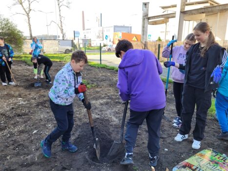Dzieci kopią dołek, aby zasadzić drzewko.